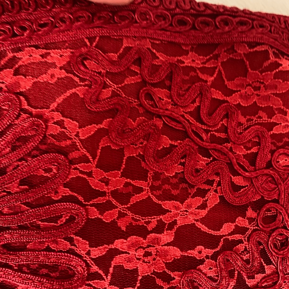 Red Lace Sue Wong Dress - Picture 6 of 6